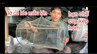 thăm lờ cá lóc mẫu lớn sau 5 đêm mà không bị cua kẹp hom #fishtrap