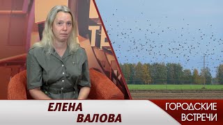 «Все о птицах» // «Городские встречи»