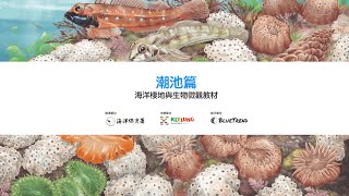 潮池篇｜海洋棲地與生物微觀教材 ft. 海保署、基隆市政府