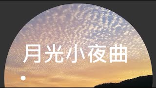 月光小夜曲