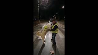 #Ep 2 - Falco rencontre les gilets jaunes - 19 Novembre