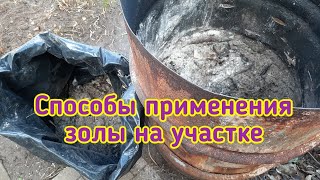 Способы применения древесной золы на участке