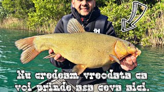 🎣 Am prins biban RECORD la spinning + un LIN (Tinca-tinca) RECORD , pe o fosta balastiera 🎣