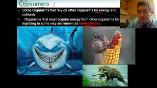 Lesson 3.2 Energy, Producers, Consumers in an Ecosystem