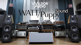 Wilson Audio WATTPuppy 5.1 Sound