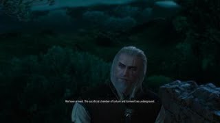 The Witcher 3: Wild Hunt