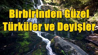 Birbirinden Güzel Türküler ve Deyişler #türkü #alevitürküleri #deyişler