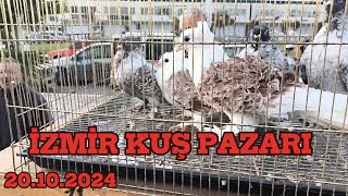 İZMİR KUŞ PAZARI #31