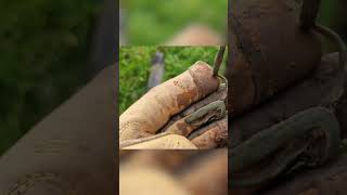 This Is a Buckle: Metal Detecting Wales