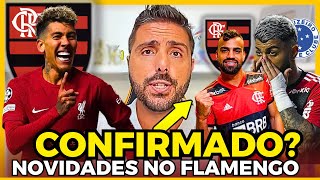 🚨FLAMENGO TEM INTERESSE EM ROBERTO FIRMINO? | FABRÍCIO BRUNO VENDIDO | GABIGOL NO CRUZEIRO?