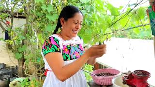 Prepare unas ricas empanadas 😋