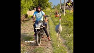 Arif aur saras bird ki dosti ki kahani| Arif aur saras ka pyar| Arif aur saras ki gehri dosti