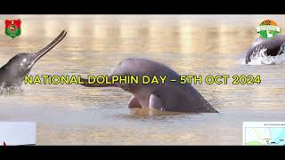 National Dolphin Day - 5th Oct 2024