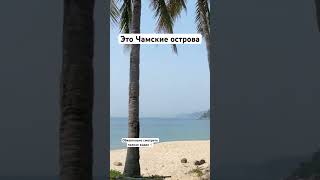 🇻🇳 прям не далеко от Дананга прекрасный остров,🏝️его стоит посетить каждому !#вьетнам #азия #2024