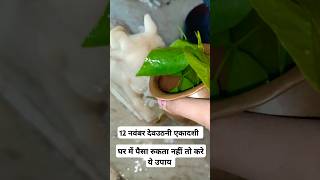 घर में पैसा रुकता नहीं तो एकादशी के दिन करे ये उपाय #devuthiekadashi#pradeepmishrajikeupay#subscribe