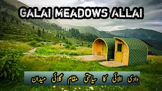 Galai medan allai | Galai Meadows | Allai Galai Meadows.