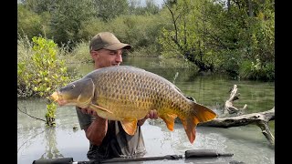 River Carp Fishing Vlog#6 French river madness