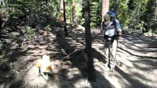 Hiking Jerkey Meadows in Sequoia National Forest