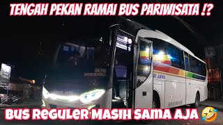 Hunting Tengah Pekan, Ramai Bus Pariwisata⁉️ Bus AKAP Jalur Wonosoboan Belum Ada Peremajaan Juga‼️