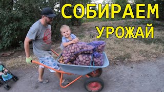 Собираем урожай