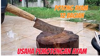 Cara Potong Ayam jadi 12 bagian|| Usaha pemotongan ayam