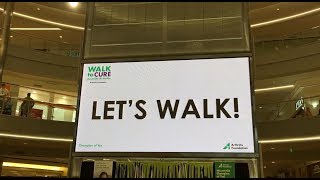 Walk to Cure Juvenile Arthritis 2018 - Minnesota