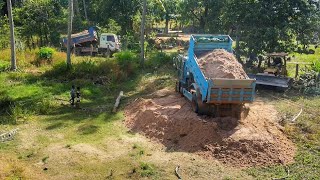 Exquisite Action Push Soil Clear Bad Grass To Build Road 10m By Bulldozer & DumpTruck Unloading Work