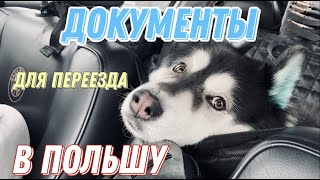 Документы для выезда из БЕЛАРУСИ в ПОЛЬШУ для ВАС и вашего ПИТОМЦА 2021