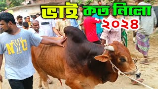 ভাই কত নিলো ২০২৪? Bhai Koto Nilo | সিরাজগঞ্জ গ্যাস লাইন গরুর হাট ২০২৪ | Cow Price in Bangladesh