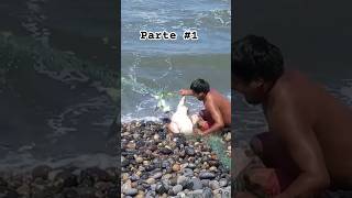 Wow!!..  la fueza que hace este Pescador para sacar su #red  del mar y mira lo que atrapa