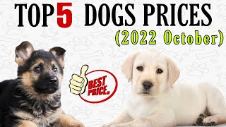 TOP 5 LATEST DOGS PRICES | Taju Logics