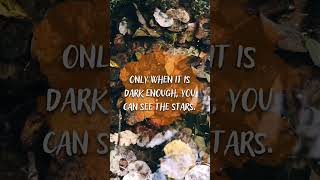 You can see the stars - Motivational Quote