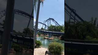 Dangerous  roller coaster rides in the world - Manta Roller Coaster Ride - Orlando Florida.