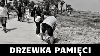 Drzewka pamięci