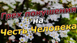 Грех покушения на честь человека! Мудрость Священного Корана!