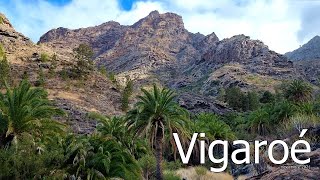 Barranco de VIGAROÉ (comentada)(noviembre 2021) #GranCanaria #Vigaroe #Siberio