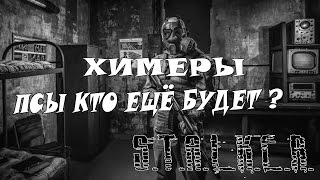 S.T.A.L.K.E.R CALL OF MISERY #5 Обновки..