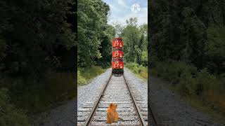 3_headed_train,_cat___toy_tractor_-_Funny_vfx_#viralshorts_ (360p)