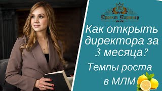 Как открыть директора за 3 месяца? Темпы роста в МЛМ