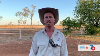 MEET Luke Chaplain, 2022 Nuffield Scholar from QLD