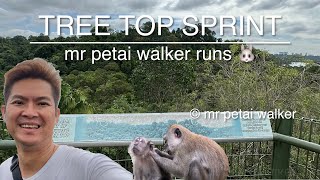 Tree Top Sprint: mr petai walker runs 🐰