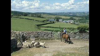 Dartmoor: A Fair Deal for the Hills, a film by Chris Chapman & Kate King