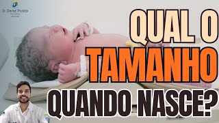 Quantos centímetros nasce um bebê?