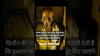 इस्लाम जिन्दाबाद इस्लाम जिन्दाबाद #viral #islamicshorts #video