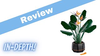 LEGO Creator Bird of Paradise Review! Set 10289