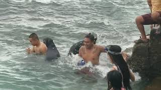 Rottweiler  and Dobermann having fun at Sea