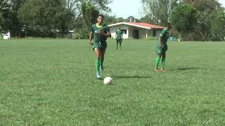 Atletico Tebaida (2) vs  Mag Calarca (1)