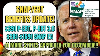 SOCIAL SECURITY & SNAP/EBT UPDATE: NEW $391 P-EBT, P-EBT 3.0 & $281-$1691 DECEMBER EA (+11 STATES)!