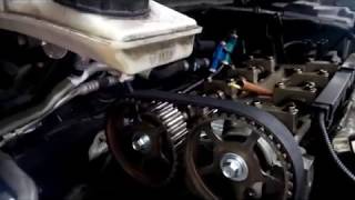 Ford focus 2005 timing belt replacement