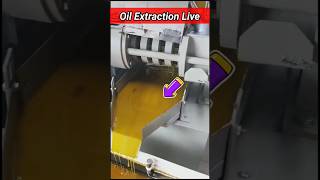 Oil Extraction Live 😀 #oilextractionmachine #screwpress #coldpressoil #coldpressoilmachine #business